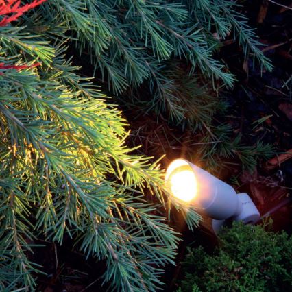 Panlux OKN-1LED/S - LED Außenleuchte OKO 1xLED/1W/350mA