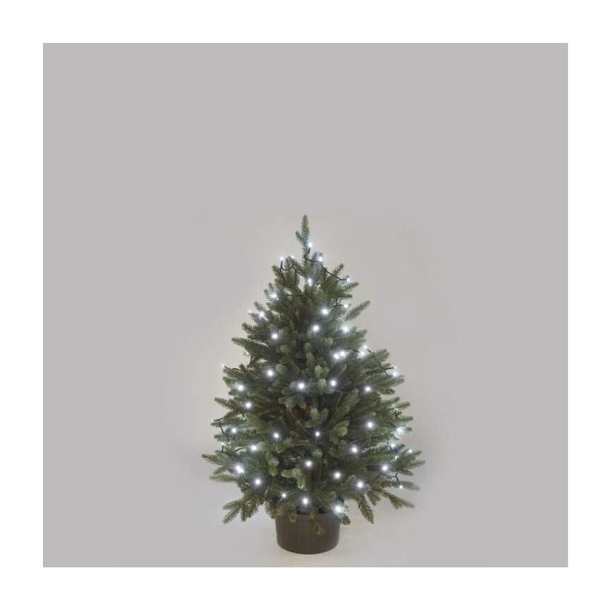 LED-Außenlichterkette 40 LEDs/9 m IP44 kaltweiß