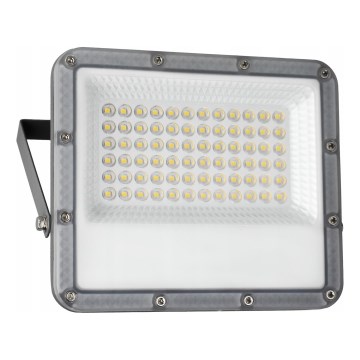 LED-Außenstrahler 50 W, 230 V, 4500 K, IP65, grau
