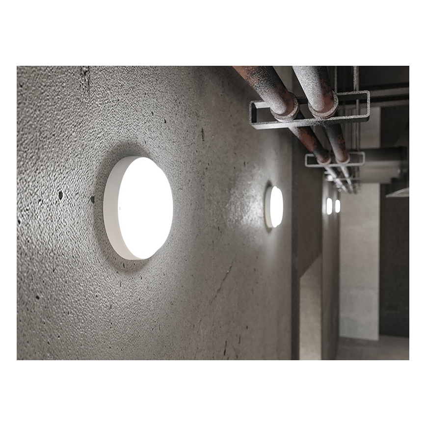 LED-Außenwandleuchte 9W/230V IP54 weiß