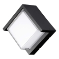 LED Außenwandleuchte LED/12W/230V 3000K IP65