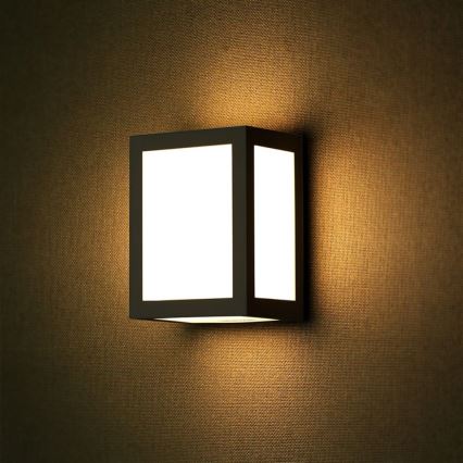 LED Außenwandleuchte LED/12W/230V 6400K IP65 schwarz