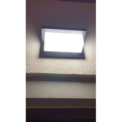 LED Außenwandleuchte LED/12W/230V IP54 schwarz