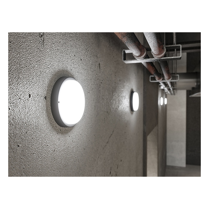 LED-Außenwandleuchte LED/18W/230V IP54 schwarz