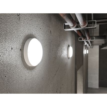 LED-Außenwandleuchte LED/18W/230V IP54 weiß