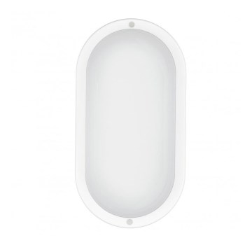 LED-Außenwandleuchte LED/20W/230V IP54 4000K