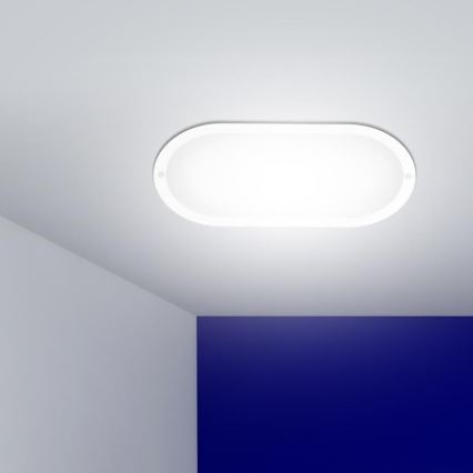 LED-Außenwandleuchte LED/20W/230V IP54 4000K