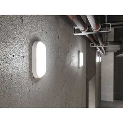 LED Außenwandleuchte LED/6W/230V IP54 weiß