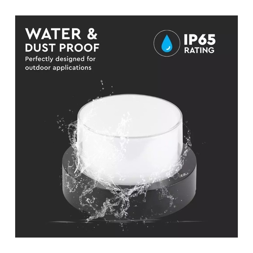 LED Außenwandleuchte LED/7W/230V IP65 3000K