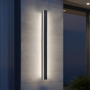 LED Außenwandleuchte MIRANA LED/25W/230V 4000K IP44 120 cm schwarz