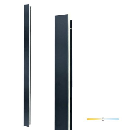 LED Außenwandleuchte MIRANA LED/25W/230V 4000K IP44 120 cm schwarz