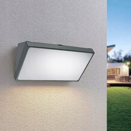 LED Außenwandleuchte mit Bewegungsmelder LED/20W/230V IP65 grau