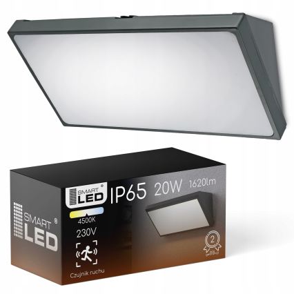 LED Außenwandleuchte mit Bewegungsmelder LED/20W/230V IP65 grau