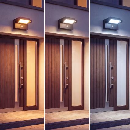LED Außenwandleuchte mit Bewegungs- und Dämmerungssensor LED/25W/230V 3000/4000/6500K IP54 schwarz