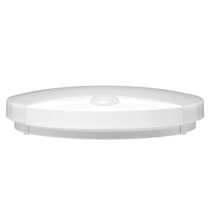 LED Außenwandleuchte mit Sensor LORA LED/15W/230V IP44