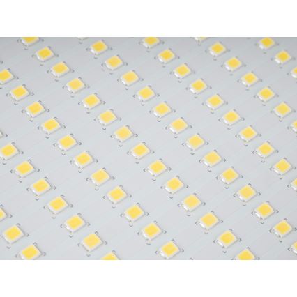 LED-Aussenstrahler STAR LED/150W/230V IP65 5000K