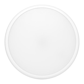 LED Auβen-Deckenleuchte MOVA LED/16W/230V IP65