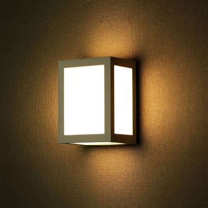 LED Auβen-Wandbeleuchtung 1xLED/12W/230V 6400K