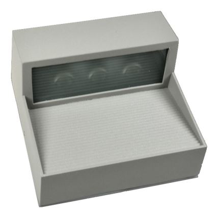 LED Auβen-Wandbeleuchtung CARRI LED/3W/230V IP54