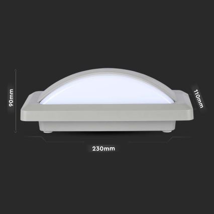 LED Auβen-Wandbeleuchtung LED/12W/230V 6400K IP65