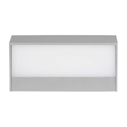 LED Auβen-Wandbeleuchtung LED/9W/230V 6400K IP65