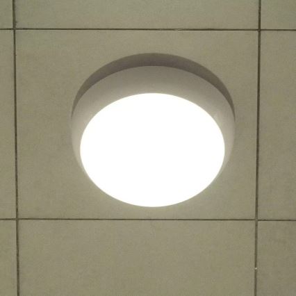 LED Auβenbeleuchtung SAMSUNG CHIP mit Sensor 1xLED/15W/230V IP65