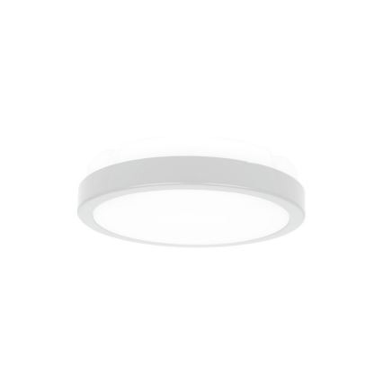 LED Bad-Deckenleuchte 1xLED/18W/230V IP65