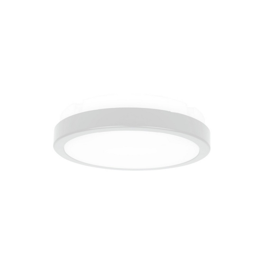 LED Bad-Deckenleuchte 1xLED/18W/230V IP65