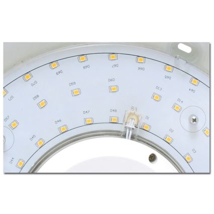 LED-Bad-Deckenleuchte VICTOR LED/25W/230V IP44