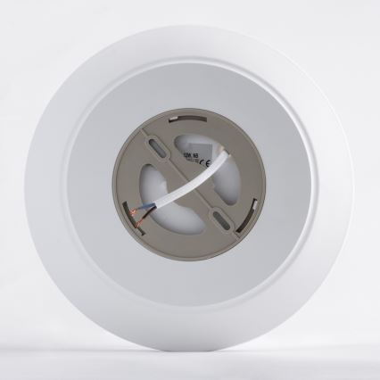 LED Badezimmer-Deckenleuchte AVESTA LED/12W/230V 4000K IP54