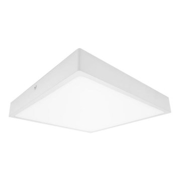 LED-Badezimmer-Deckenleuchte EGON LED/16W/230V IP44 3000K