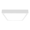 LED Badezimmer-Deckenleuchte LED/18W/230V 6500K IP44 22,5x22,5 cm Weiß