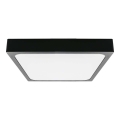 LED Badezimmer-Deckenleuchte LED/30W/230V 4000K IP44 42x42 cm schwarz
