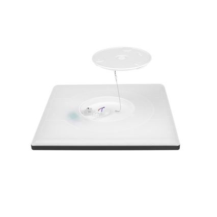 LED Badezimmer-Deckenleuchte NIVERA LED/12W/230V IP54 3000/4000/6000K 22,5x22,5 cm schwarz