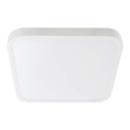 LED Badezimmer-Deckenleuchte SAMSUNG CHIP LED/18W/230V IP44 3000K 25x25 cm Weiß