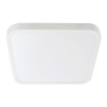 LED Badezimmer-Deckenleuchte SAMSUNG CHIP LED/24W/230V IP44 4000K 29x29 cm Weiß