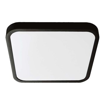 LED Badezimmer-Deckenleuchte SAMSUNG CHIP LED/24W/230V IP44 6500K 29x29 cm schwarz