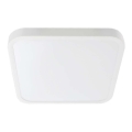 LED Badezimmer-Deckenleuchte SAMSUNG CHIP LED/24W/230V IP44 6500K 29x29 cm Weiß