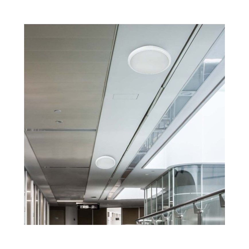 LED Badezimmerleuchte mit Sensor LED/20W/230V 3000/4000/6000K IP66 Ø 30 cm