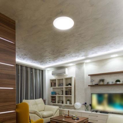 LED Badezimmerleuchte mit Sensor LED/20W/230V 3000/4000/6000K IP66 Ø 30 cm