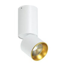 LED Decken-Spotlight LED/10W/230V