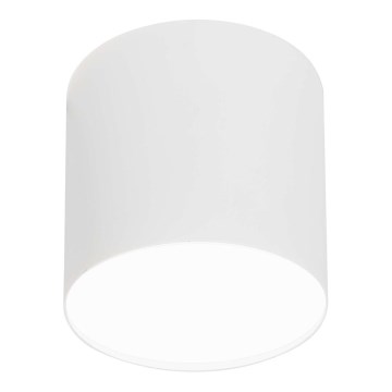 LED Deckenleuchte 1xGU10/35W/230V