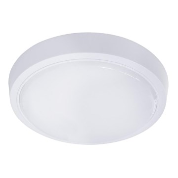 LED Deckenleuchte 1xLED/15W/230V