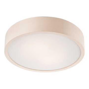 LED Deckenleuchte 1xLED/24W/230V Kiefer