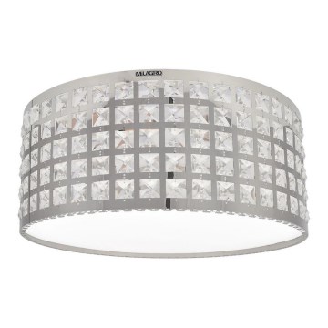 LED Deckenleuchte ALEX LED/18W/230V