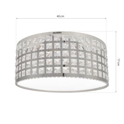 LED Deckenleuchte ALEX LED/18W/230V