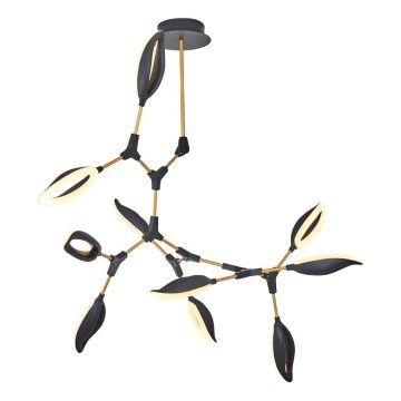 LED-Deckenleuchte an Stange ASTI 10xLED/7W/230V 3000K schwarz