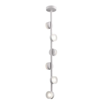 LED-Deckenleuchte an Stange COMFORT 6xLED/5W/230V weiß