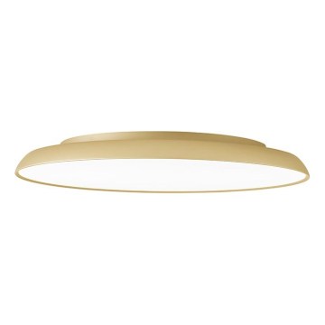 LED-Deckenleuchte ART LED/40W/230V goldfarben