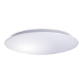 LED-Deckenleuchte AVESTA LED/28W/230V 4000K IP54